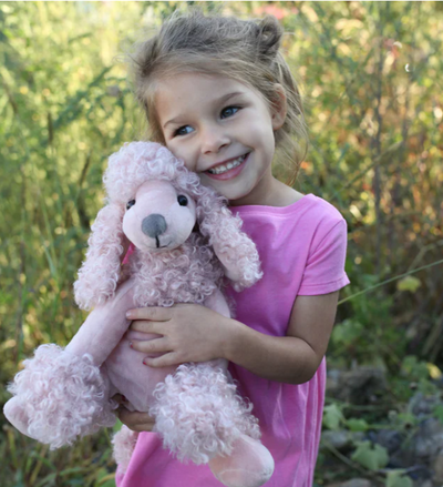 Take a Stroll with Your Furry Companion: Mon Ami Poodle Paris